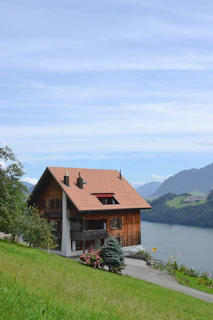 brown house by the river