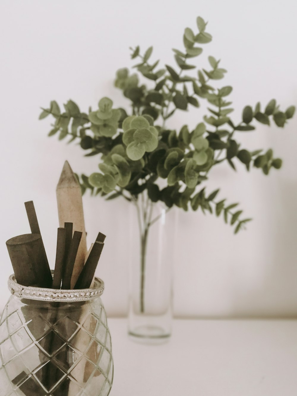 green leafed plant in glass vase