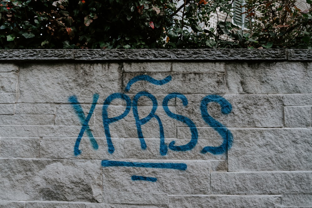 blue XPRSS art on white concrete wall near plants