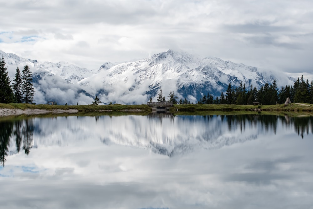 trees beside calm body of water during daytime