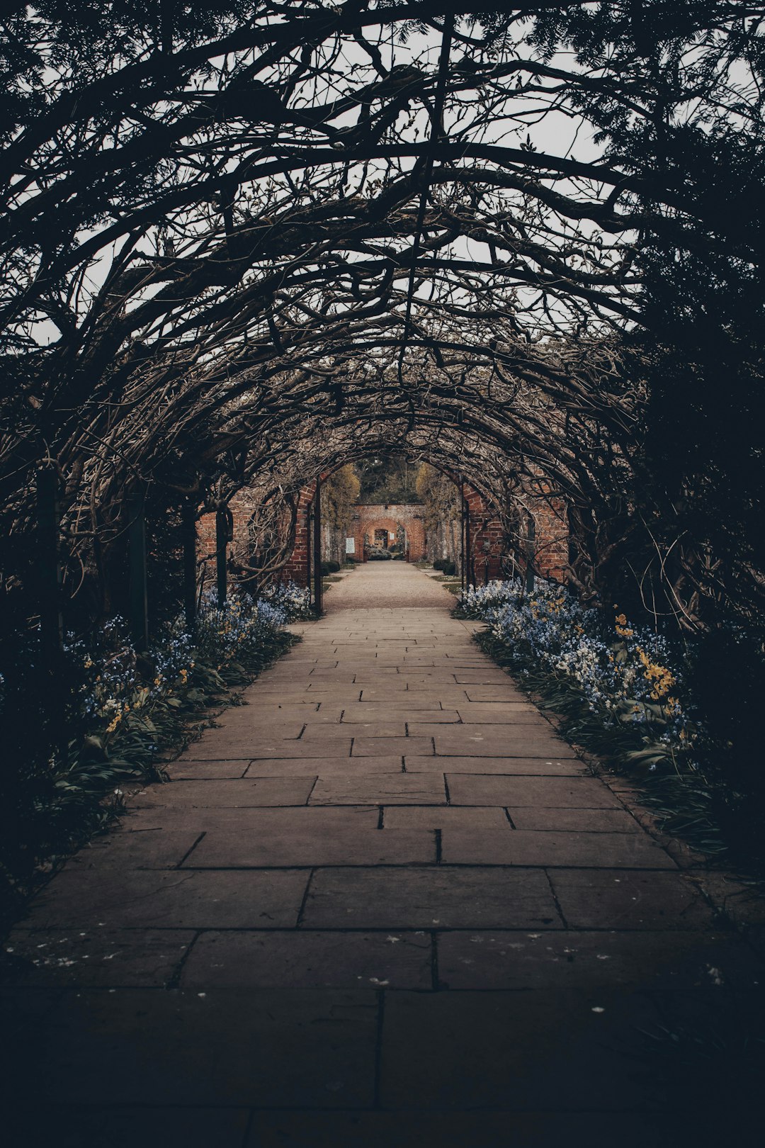 arch withered plant pathway