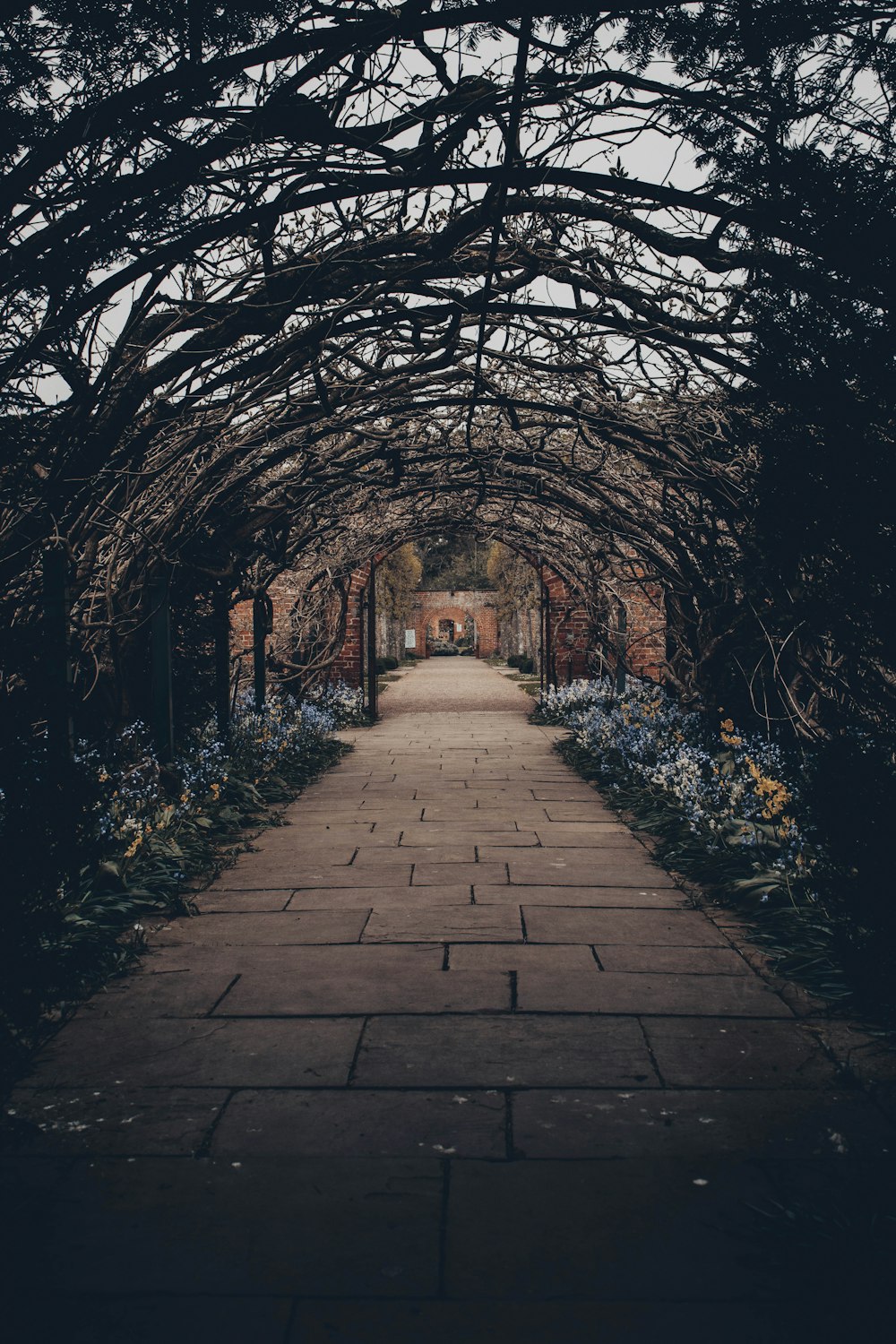 arch withered plant pathway