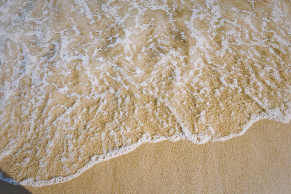 seashore and ocean