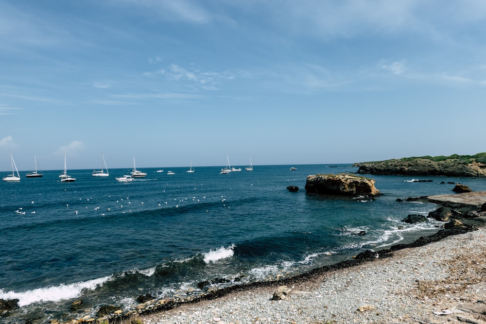 seashore and boats during day