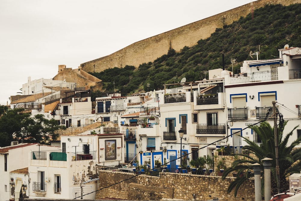 white concrete houses beside trees and wall