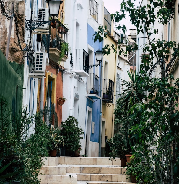 green leafed plants beside buildings during daytime