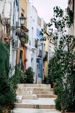 green leafed plants beside buildings during daytime