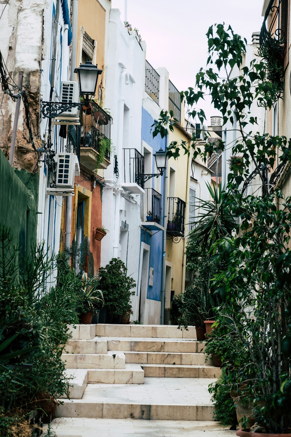 green leafed plants beside buildings during daytime