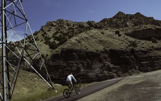 A cyclist racing through a scenic rural landscape during a competition.