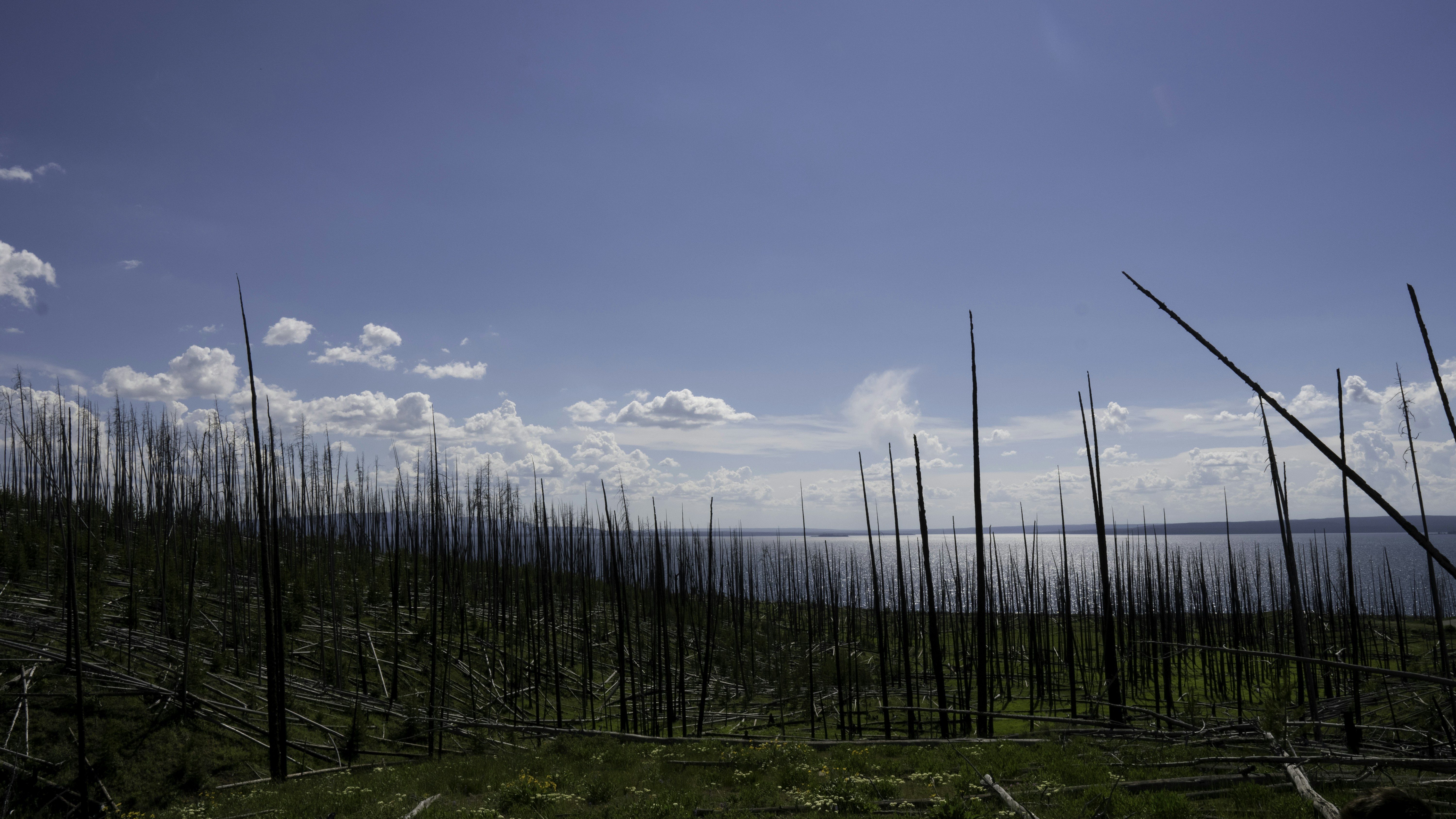 Photo by harryfettermedia