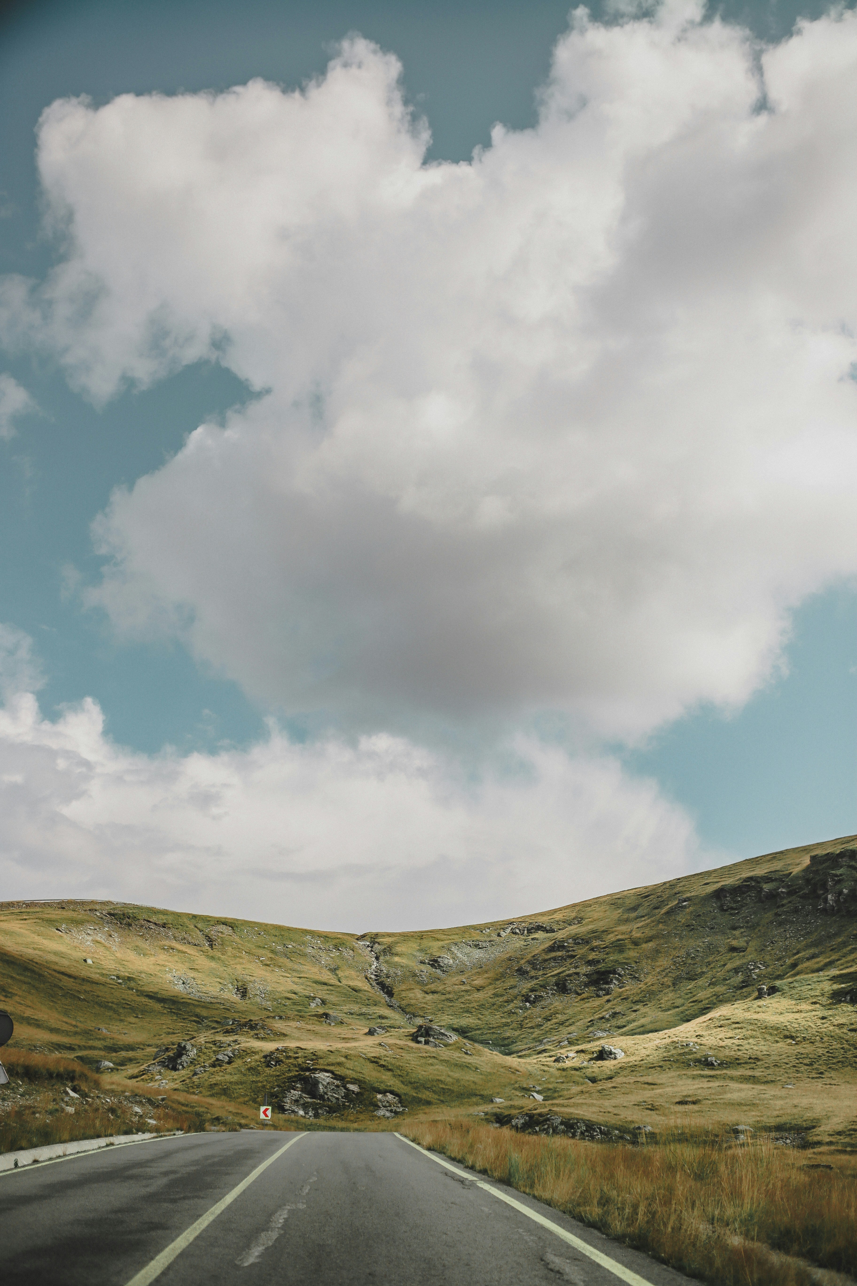 Photo by aniculesei_sebastian