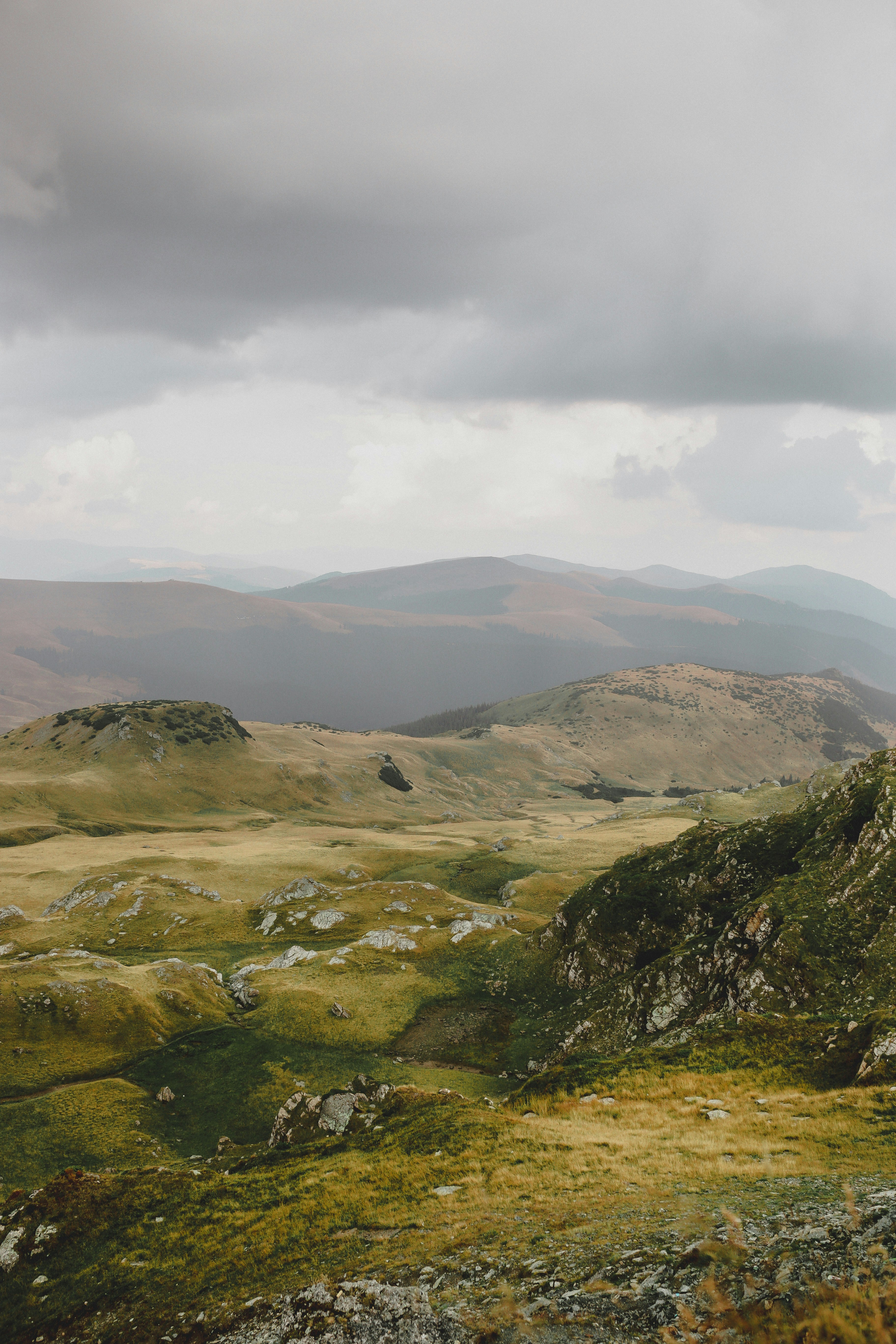 Photo by aniculesei_sebastian