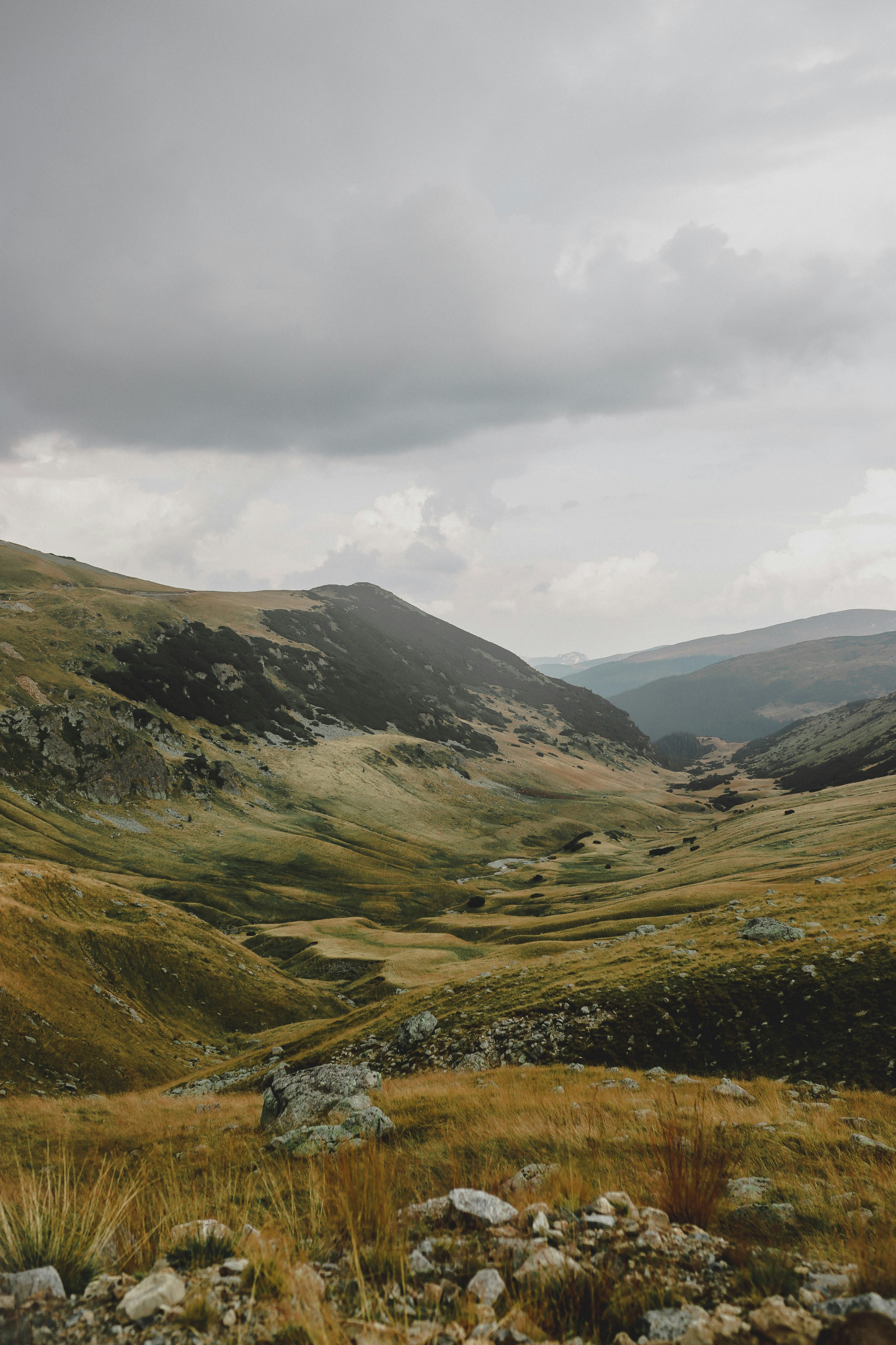 Photo by aniculesei_sebastian