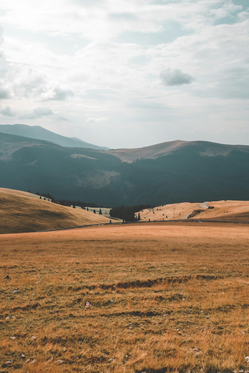 brown field and mountain