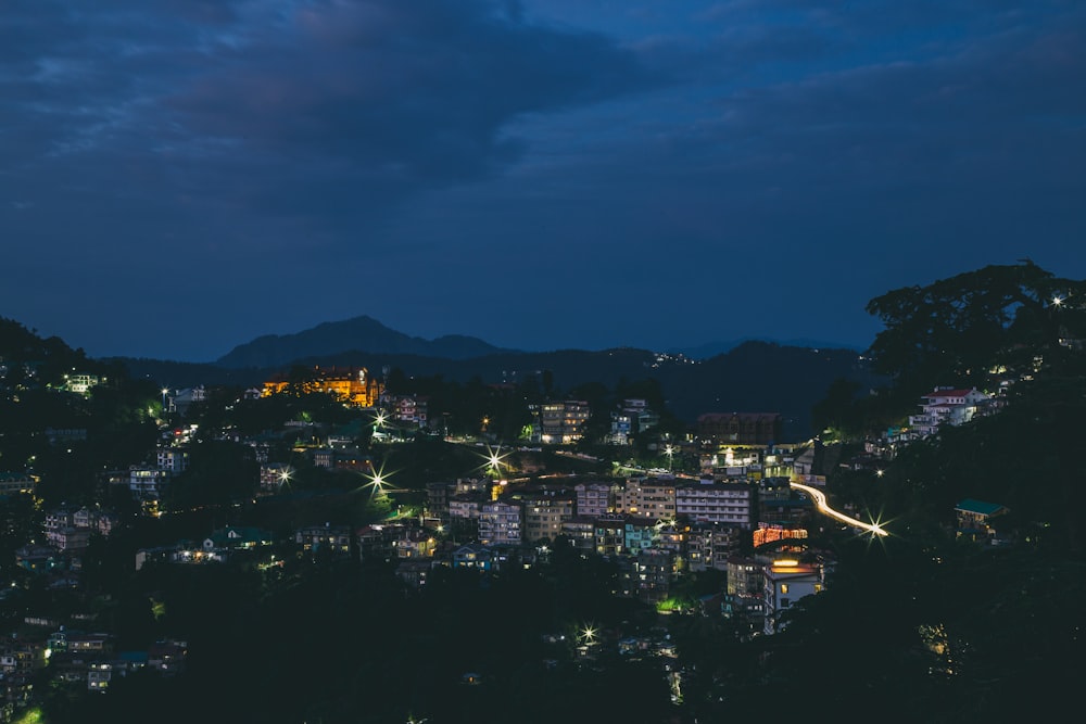 lighted buildings near trees at night