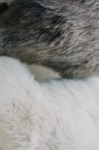 A close-up view of two different types of fur textures. The top portion features dark, dense, and slightly coarse fur, while the bottom portion displays light-colored, soft, and fluffy fur. The image captures the intricate details and variations in color and texture between the two types of fur.