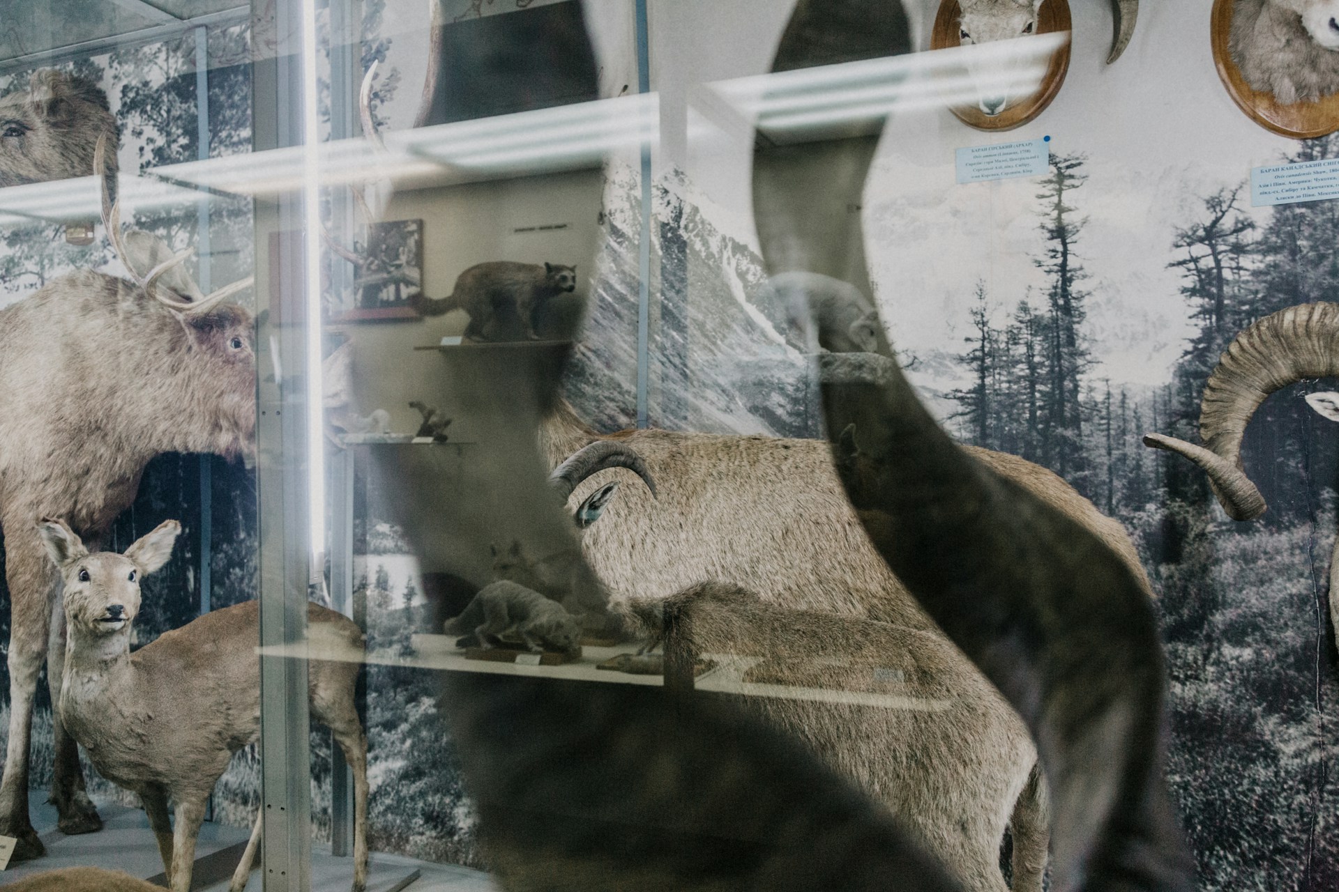 woman wearing yellow long-sleeved dress under white clouds and blue sky during daytime