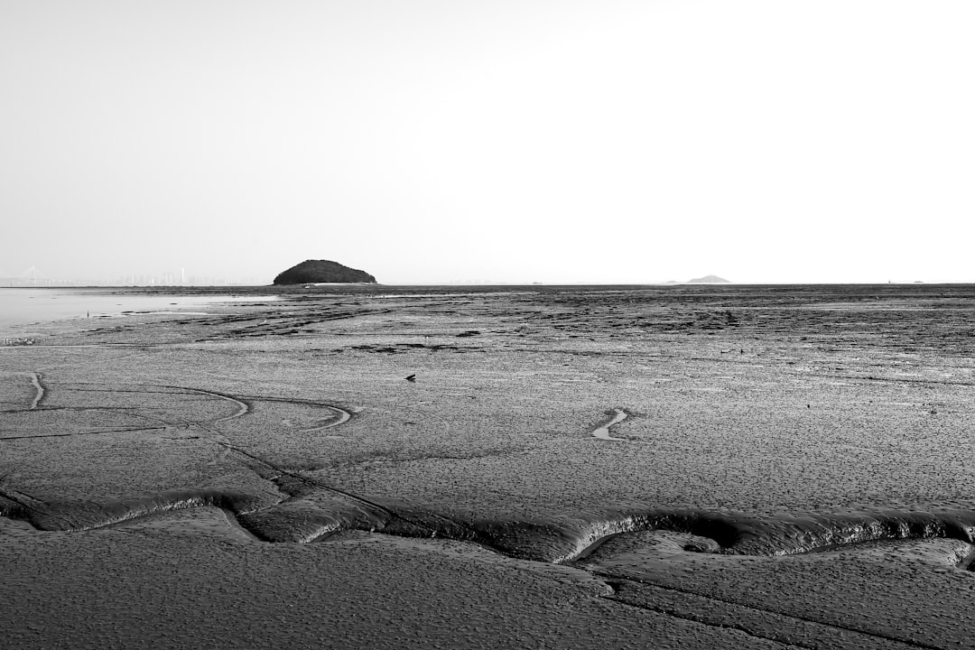 sand shore during day