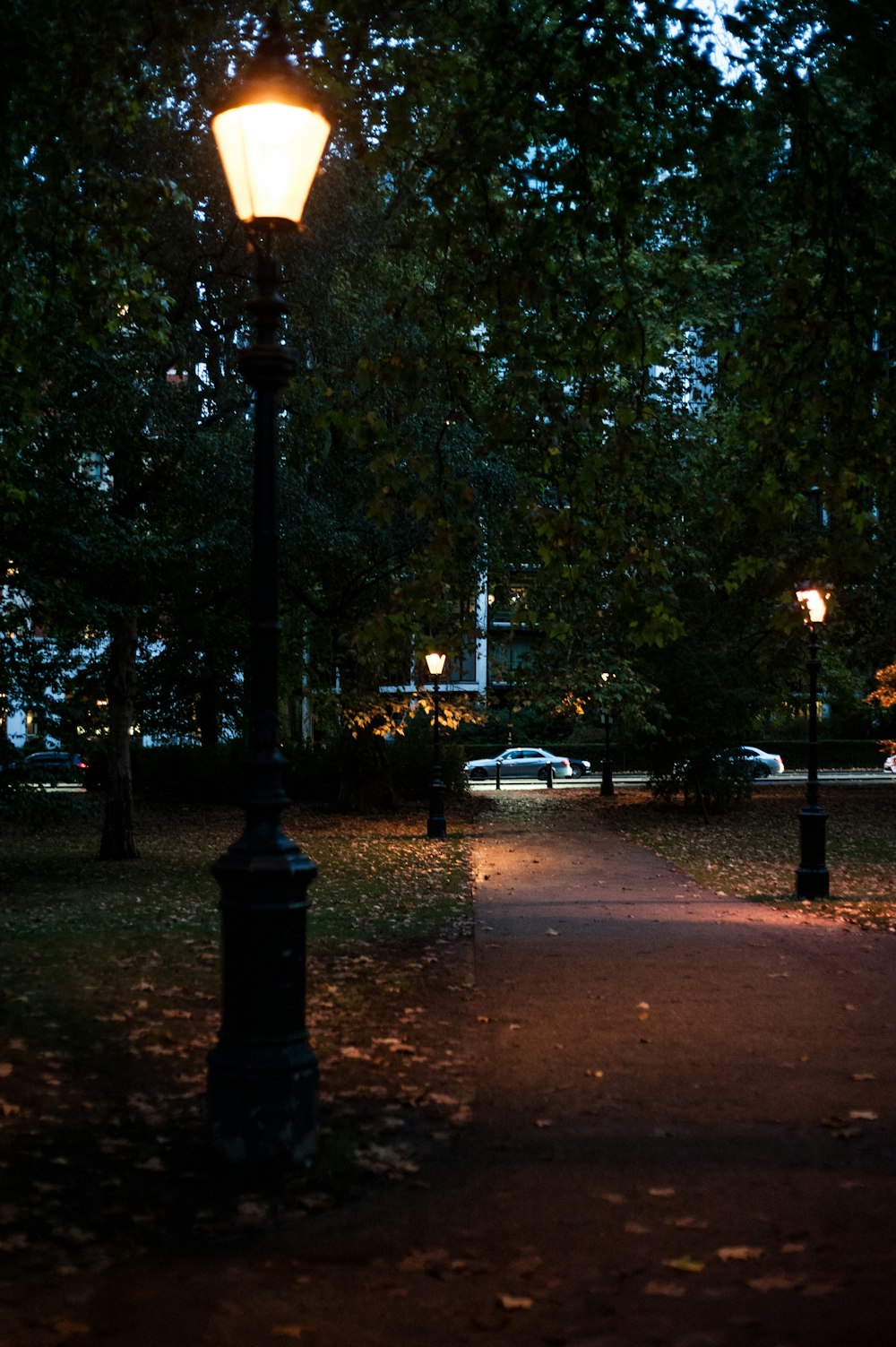 park with lampposts turned on
