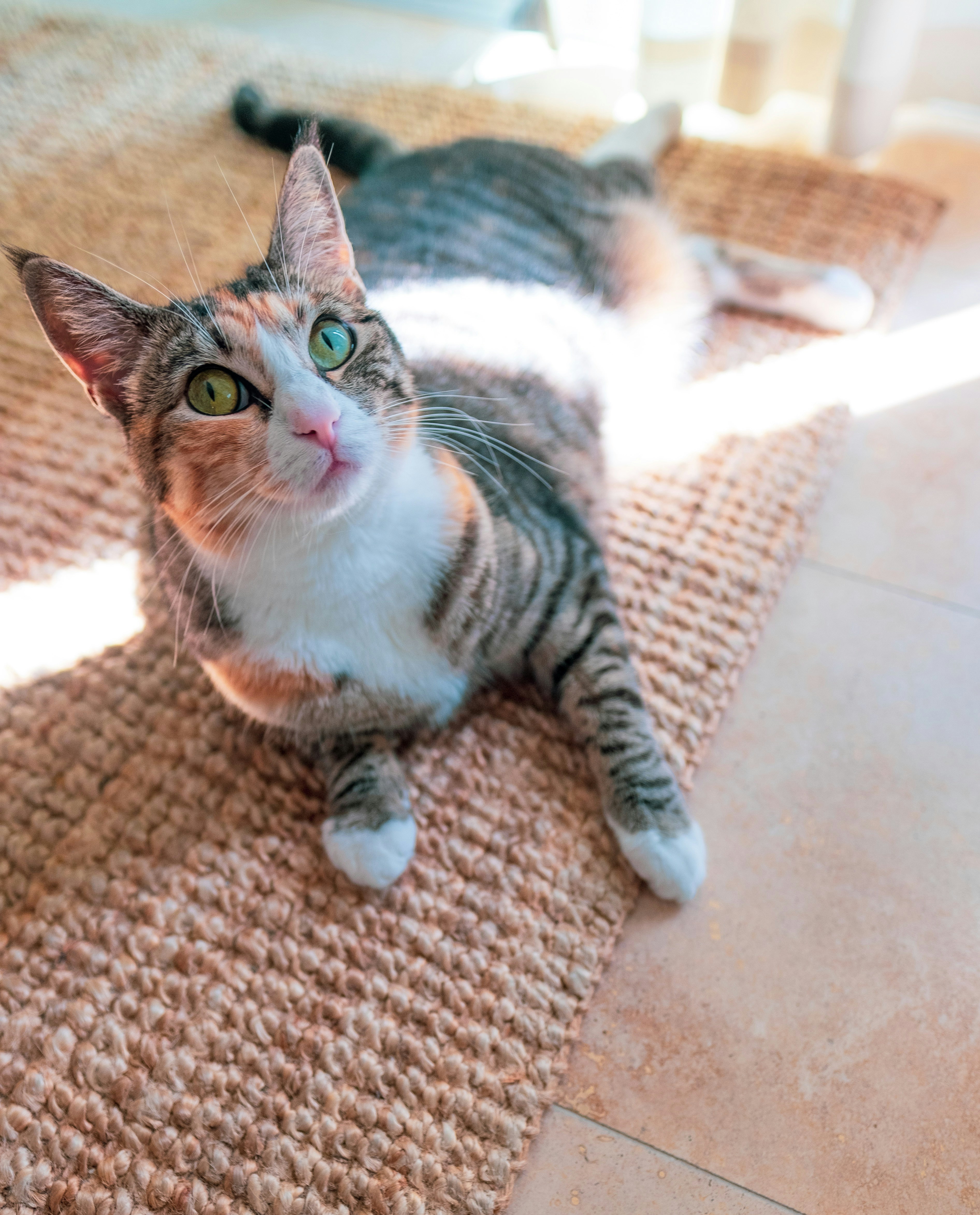 Body Heat and Emotional Energy (image credits: unsplash)