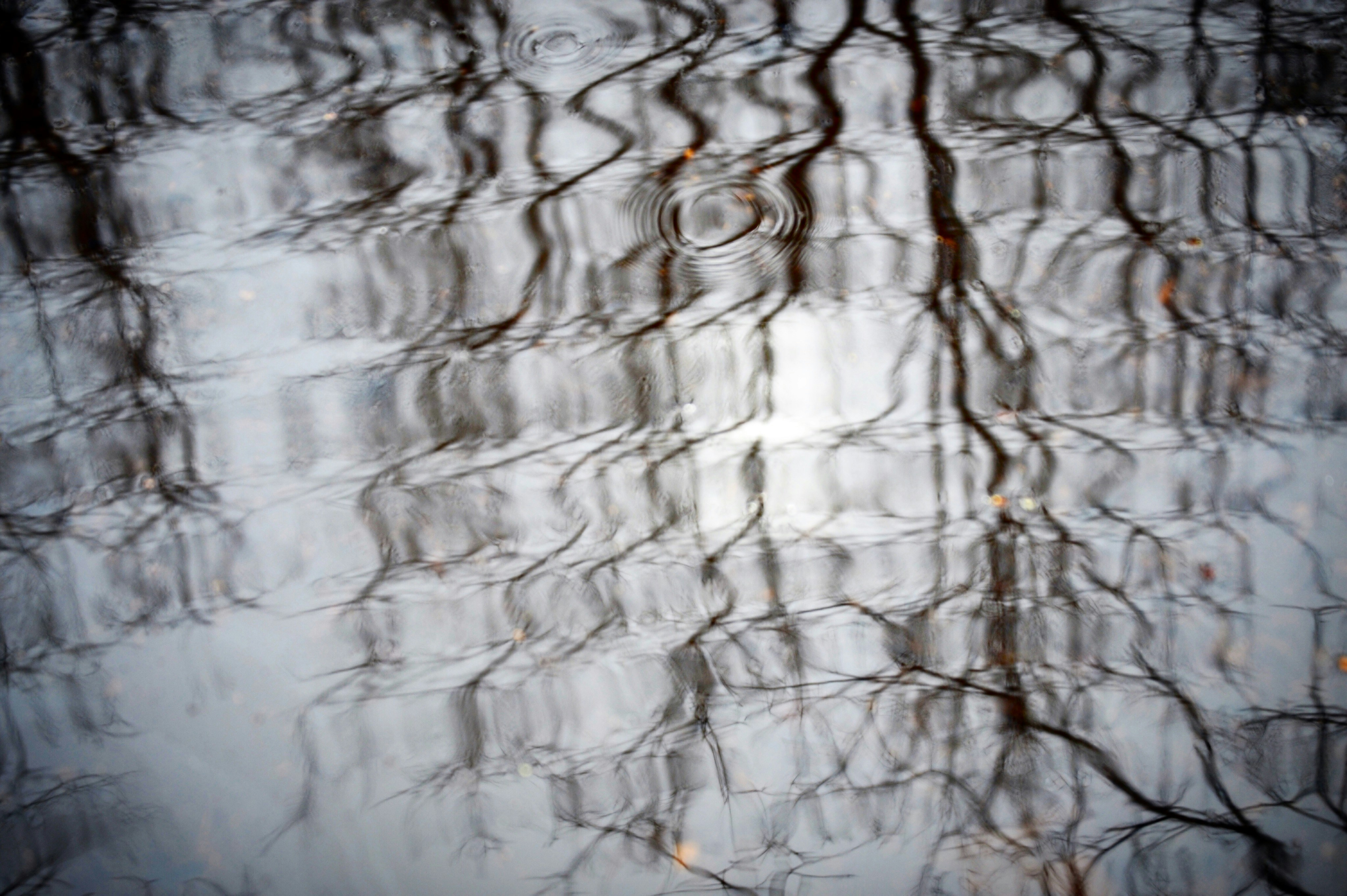 Photo by ellabella124