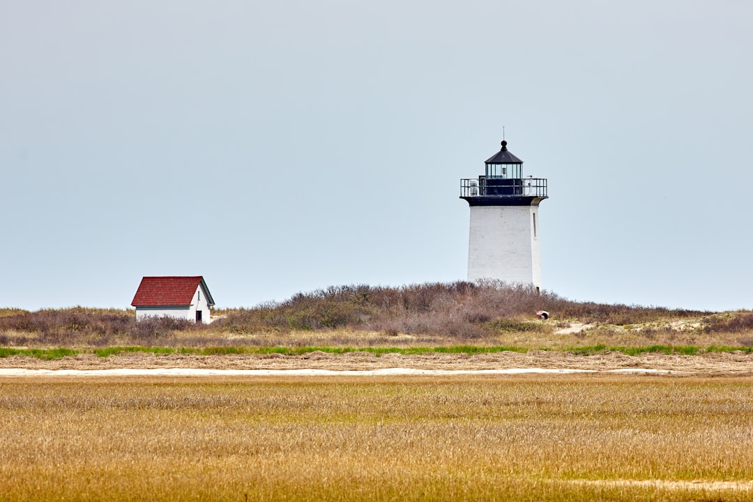 white and black lighthouse