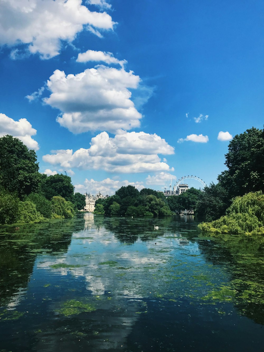 body of water and trees during day