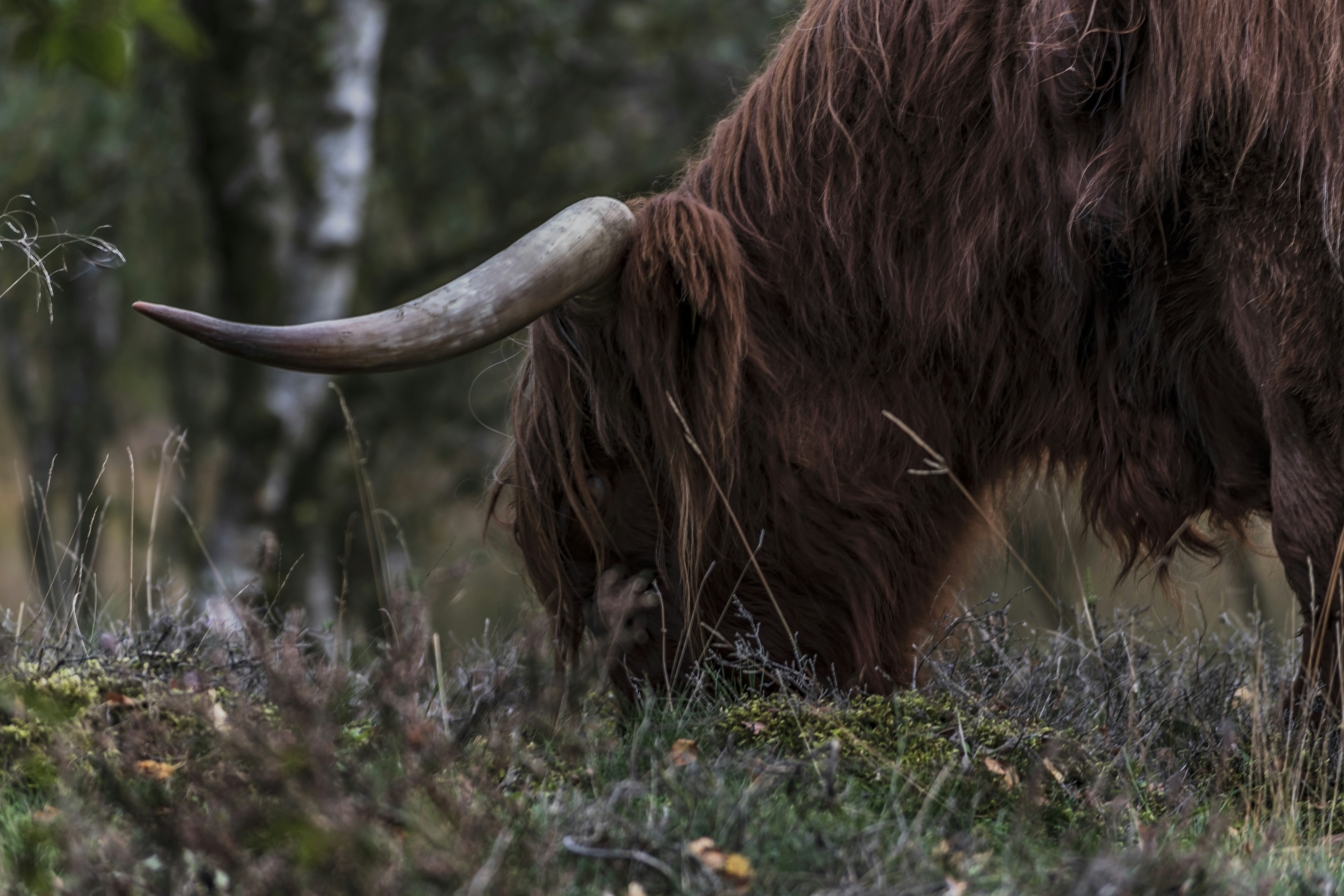 Photo by sandermathlener