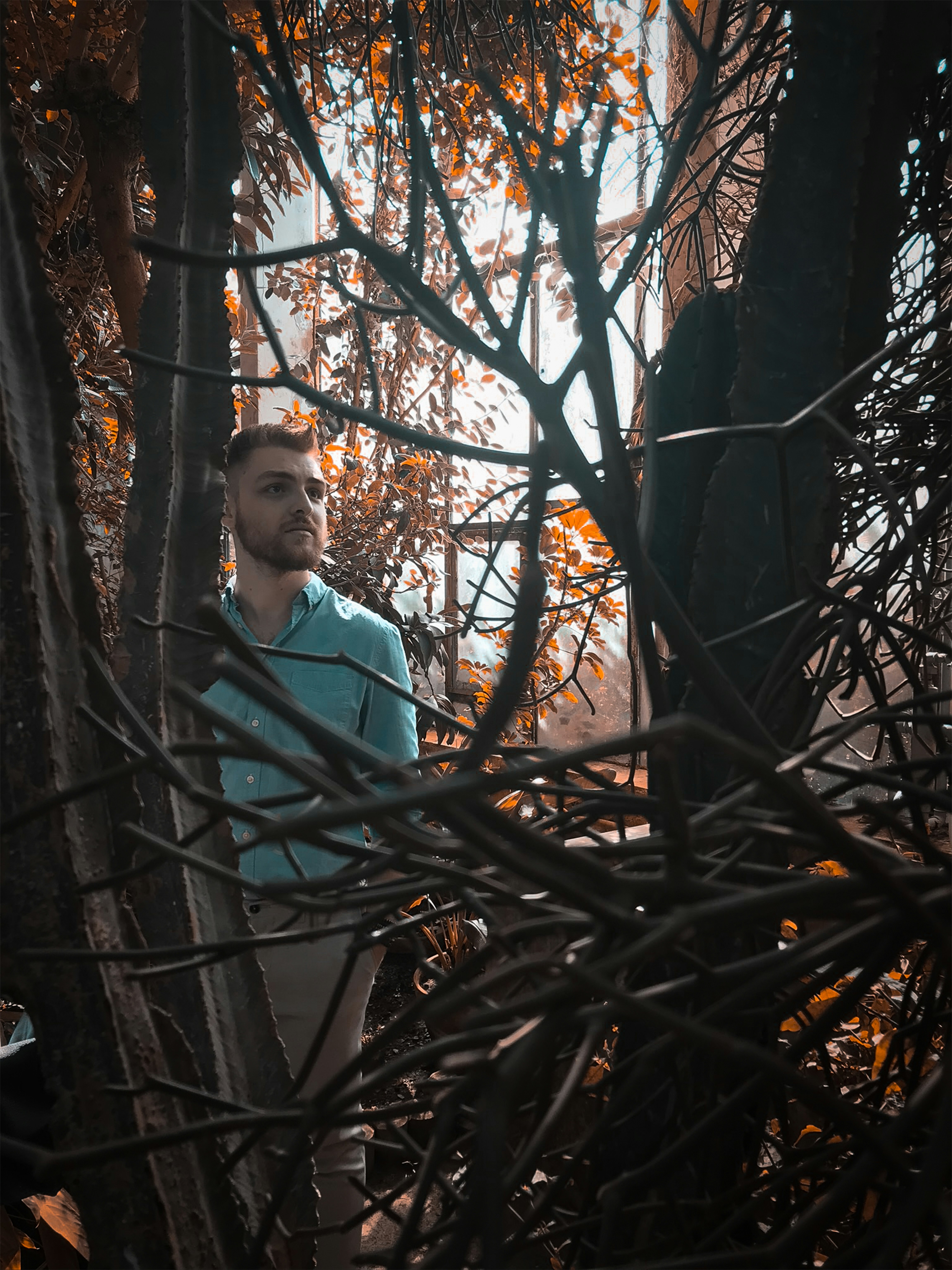 Photo by catalindumitrascu