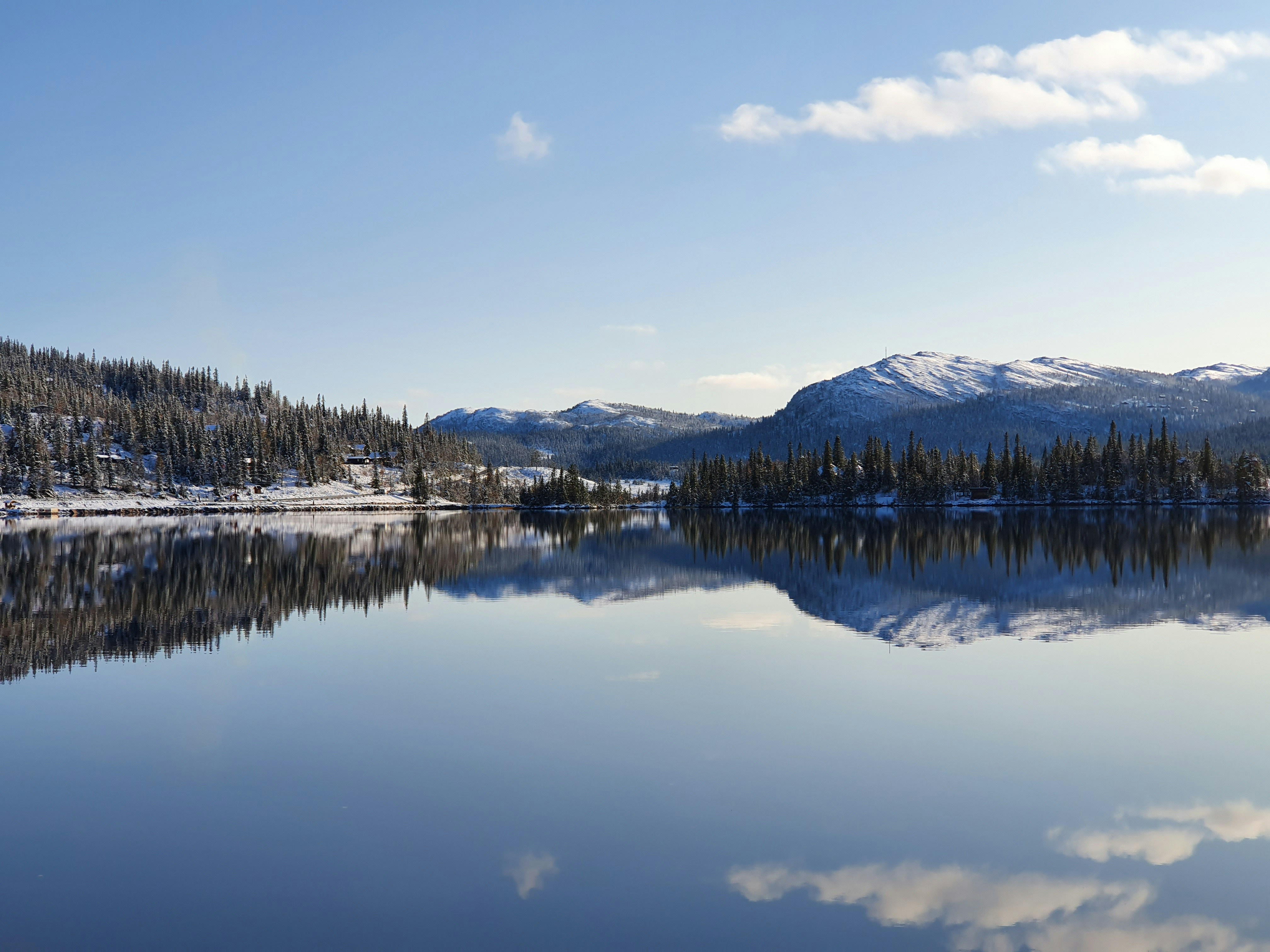 Photo by queen_of_time