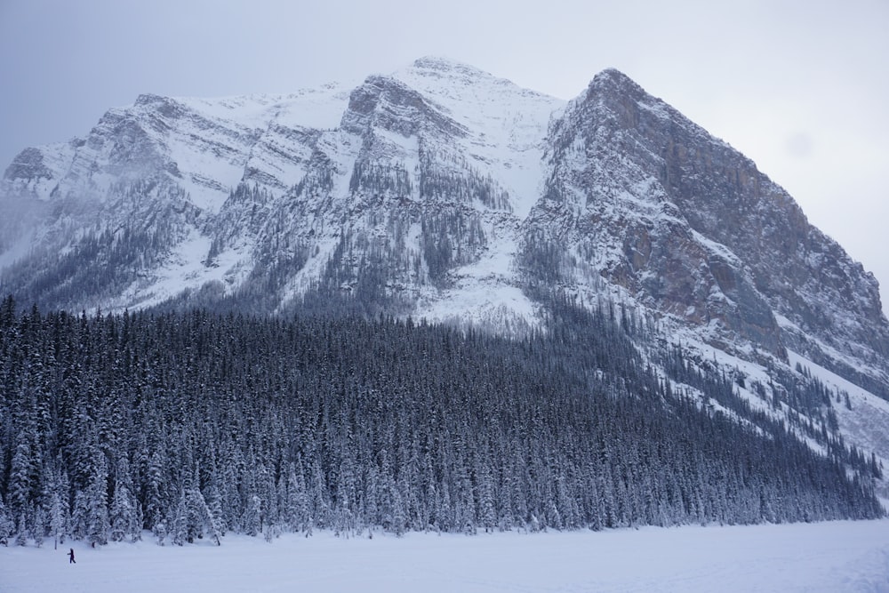 snow cover mountain