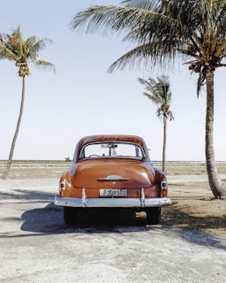 re beetle beside coconut trees