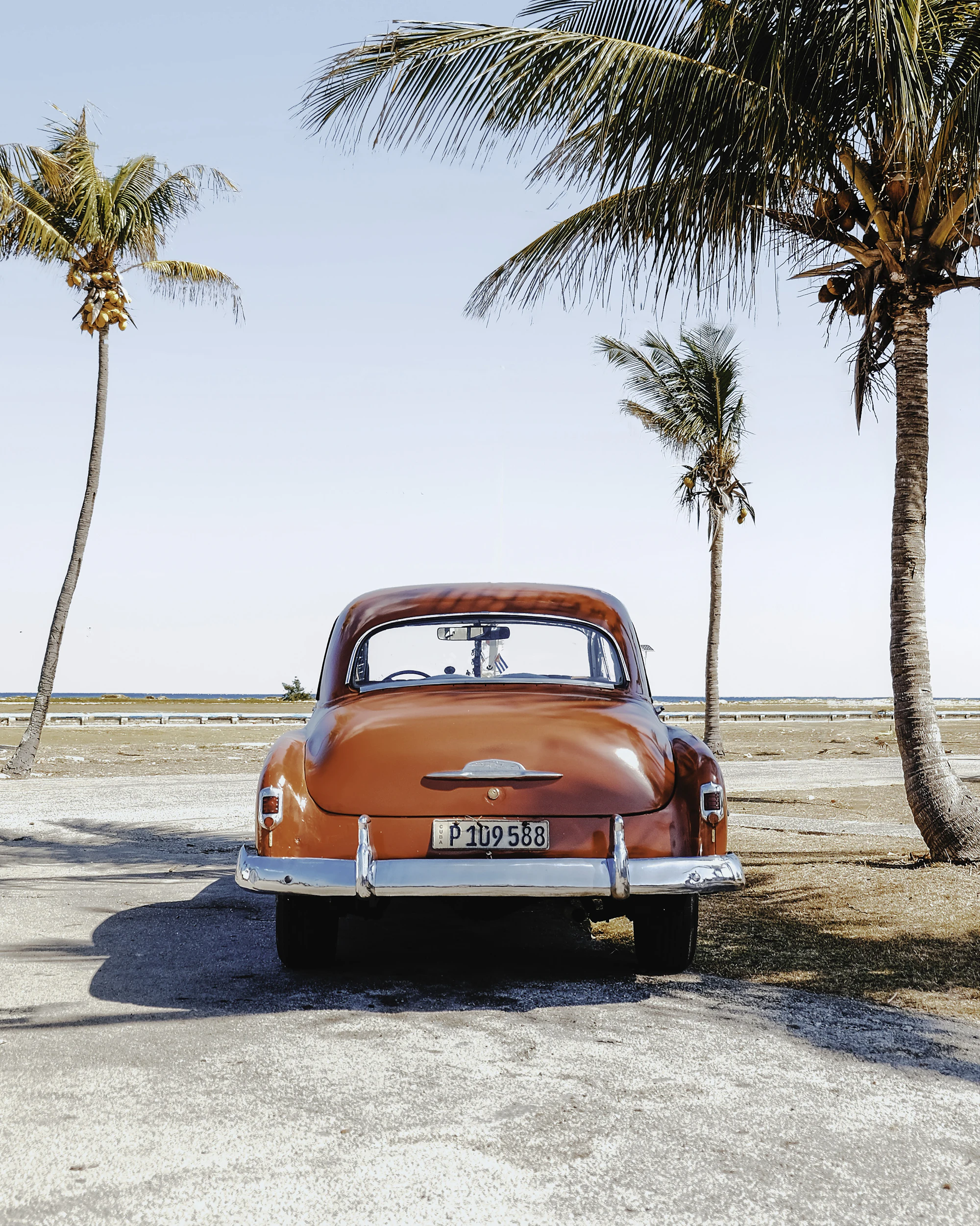 A vintage red car parked on a coastal road between palm trees