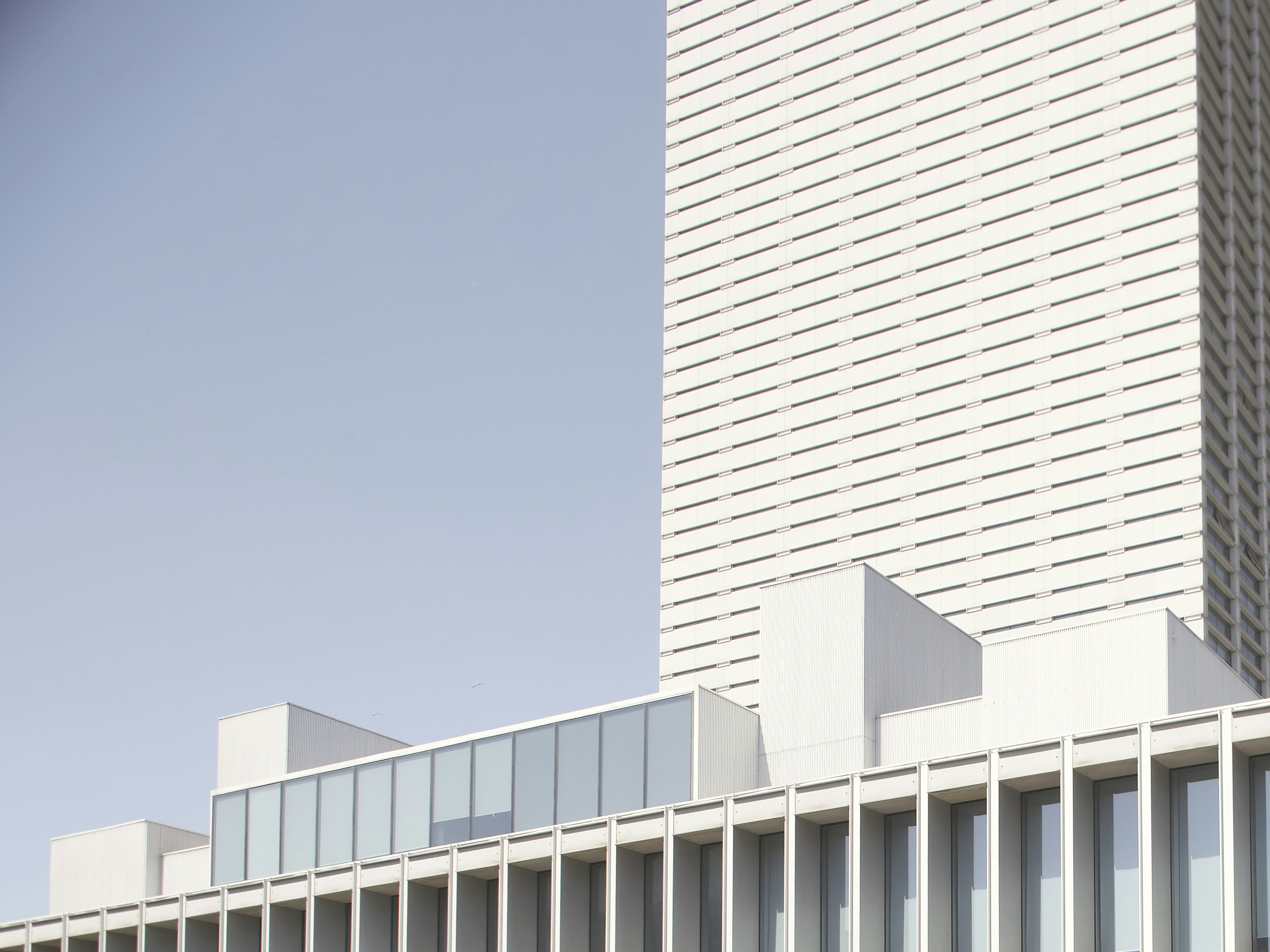 Photo by joaosoaresmelo