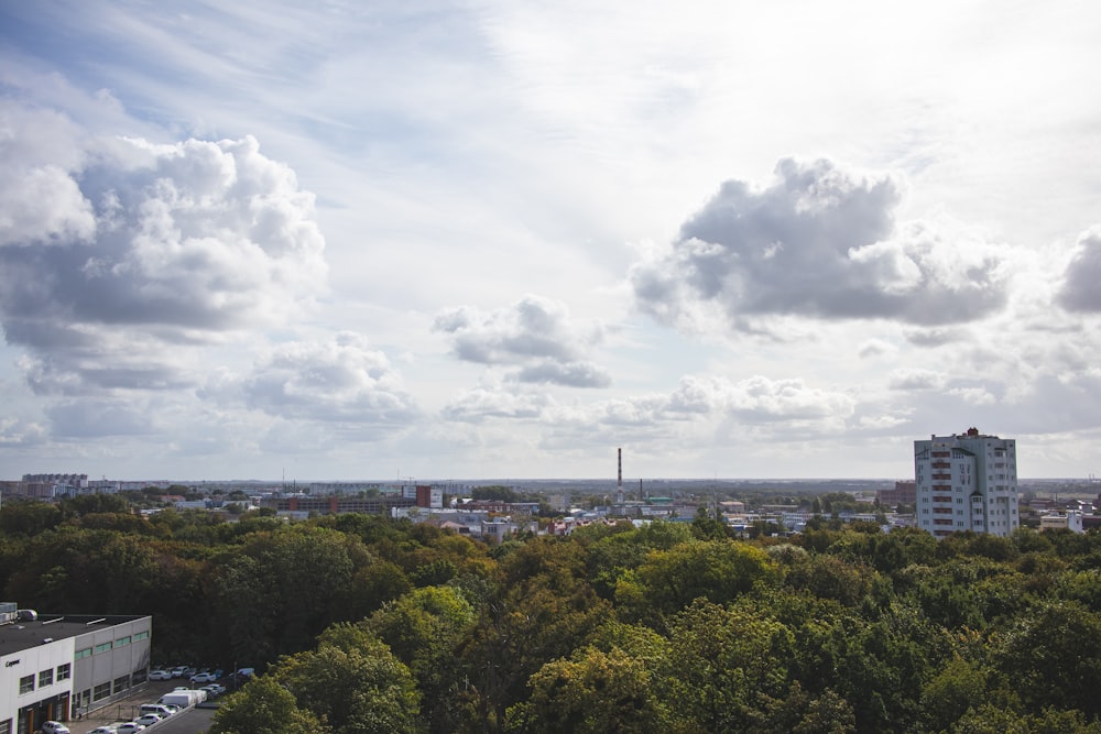 aerial view of trees