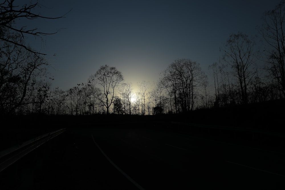 road viewing tall trees during night time