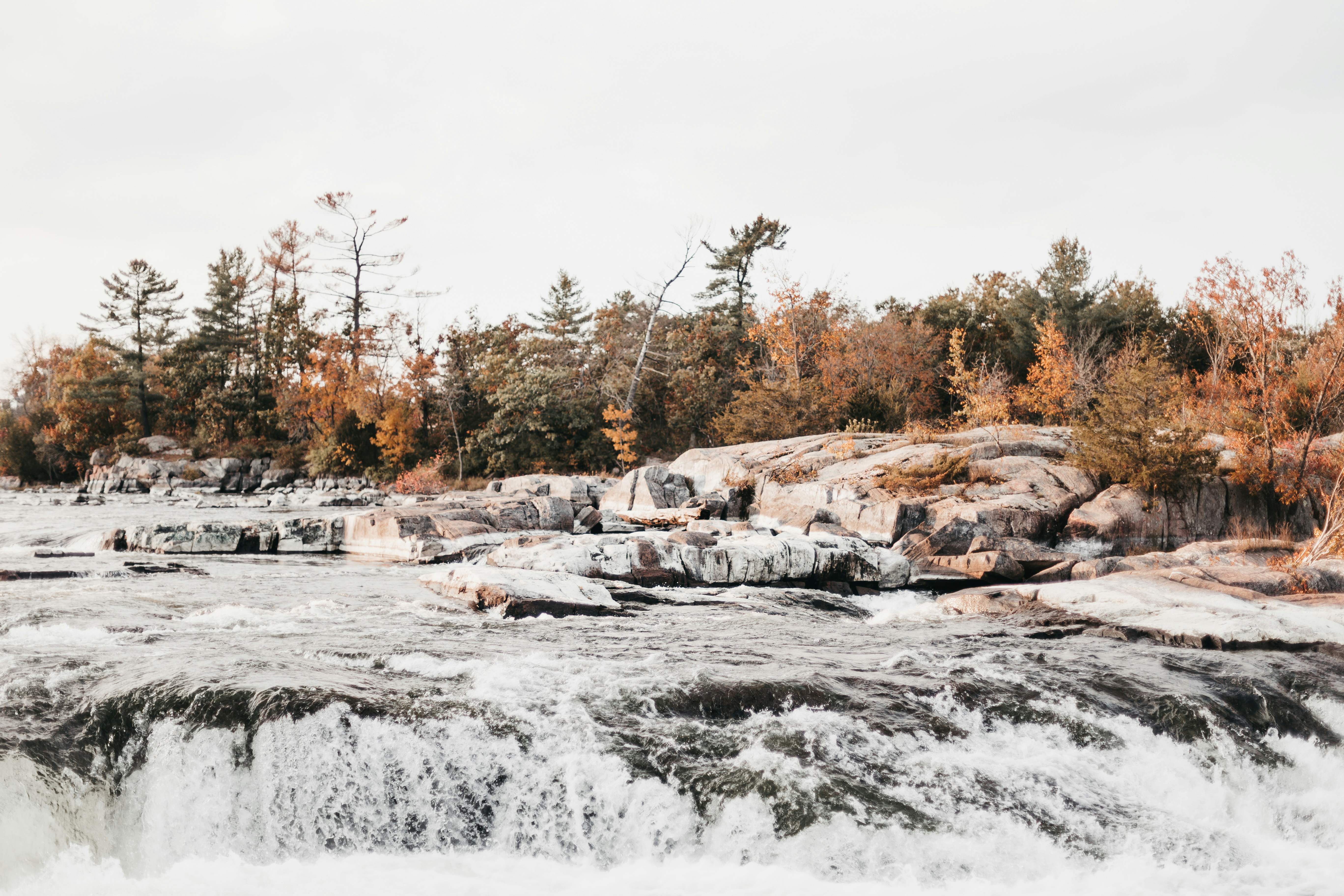 Photo by knott_studio