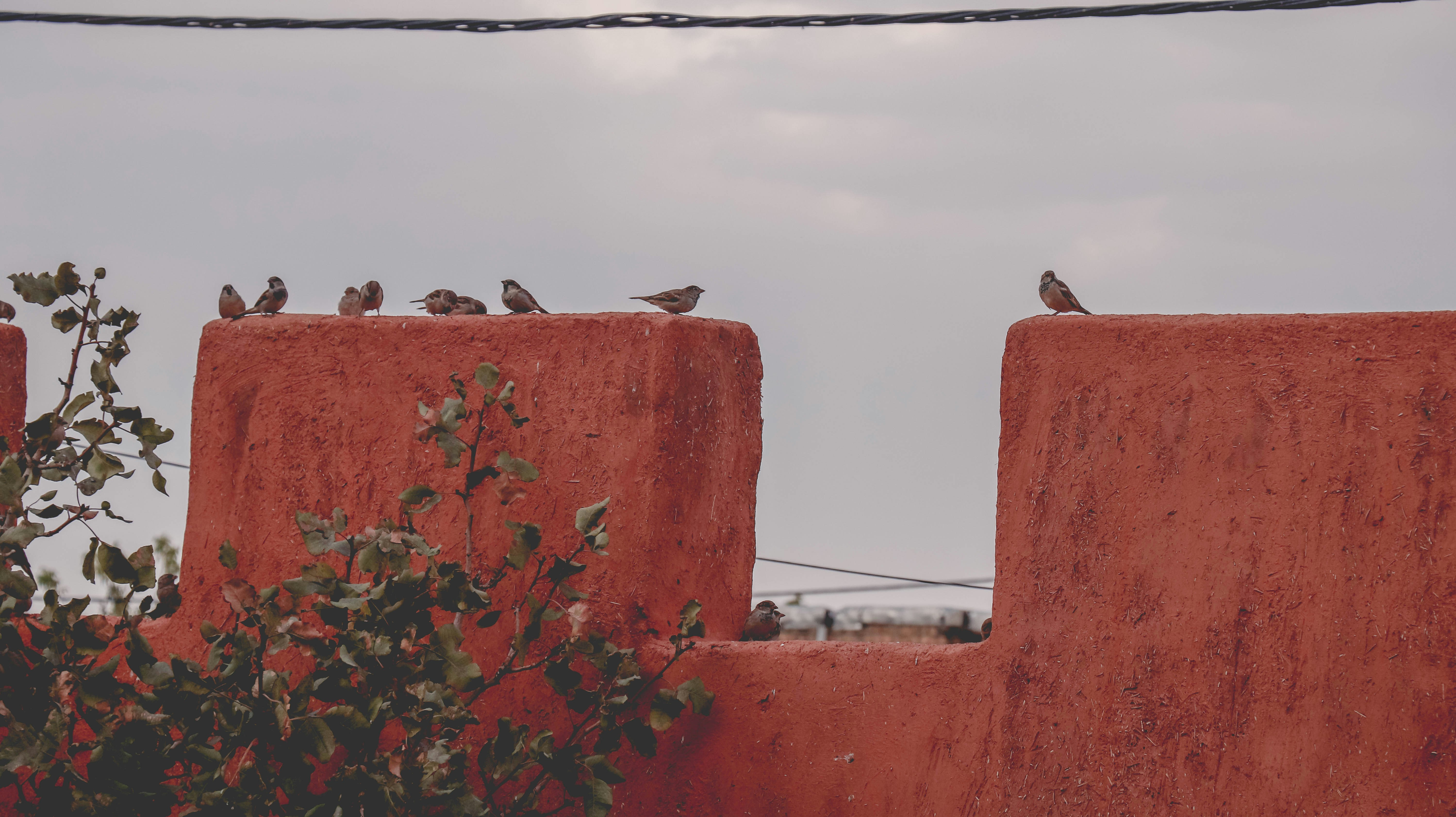 Photo by erfanamiri