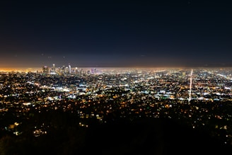 A panoramic view of Sydney cityscape at night with glowing skyscrapers.