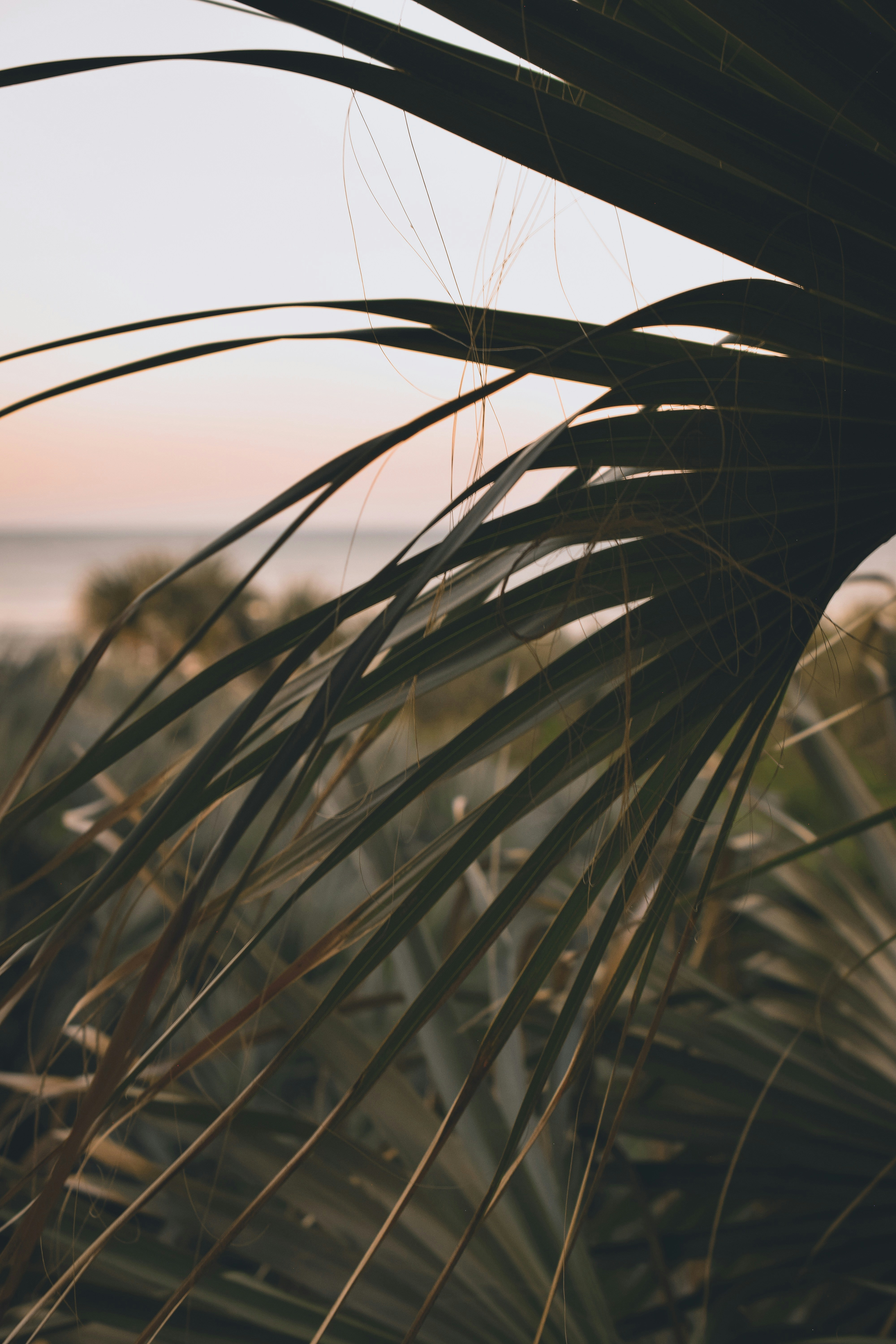 Photo by kenziekraft