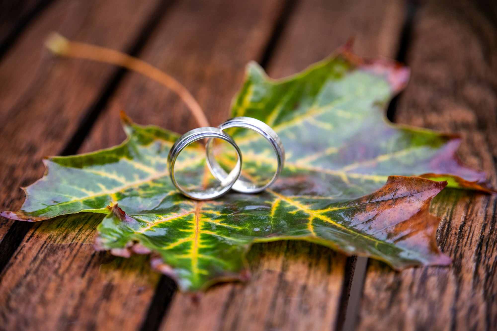 Una foglia su un tavolo con le fedi come simbolo del matrimonio autunnale