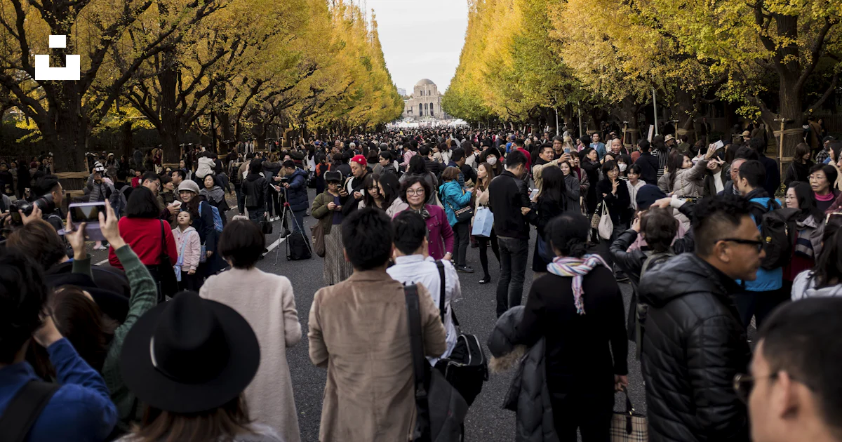 緑の木々の間に立つ群衆の写真 – Unsplashの日本の無料画像