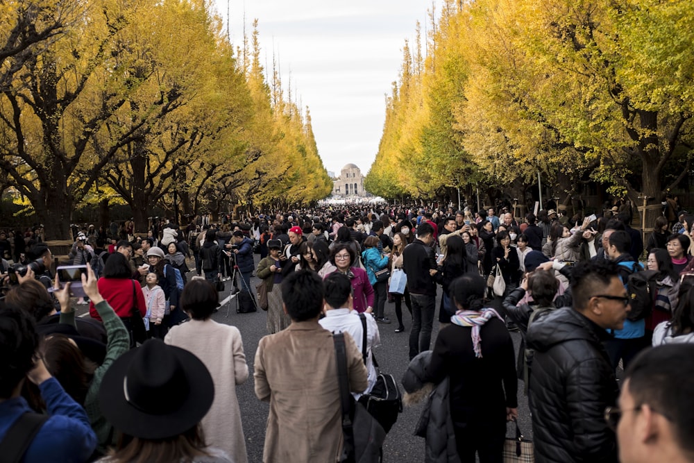 crowd standing between green trees