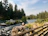 Smiling middle-aged man enjoying the serene river view from a wooden balcony surrounded by pine trees.