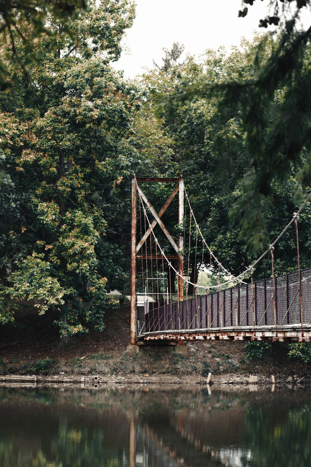 hanging bridge