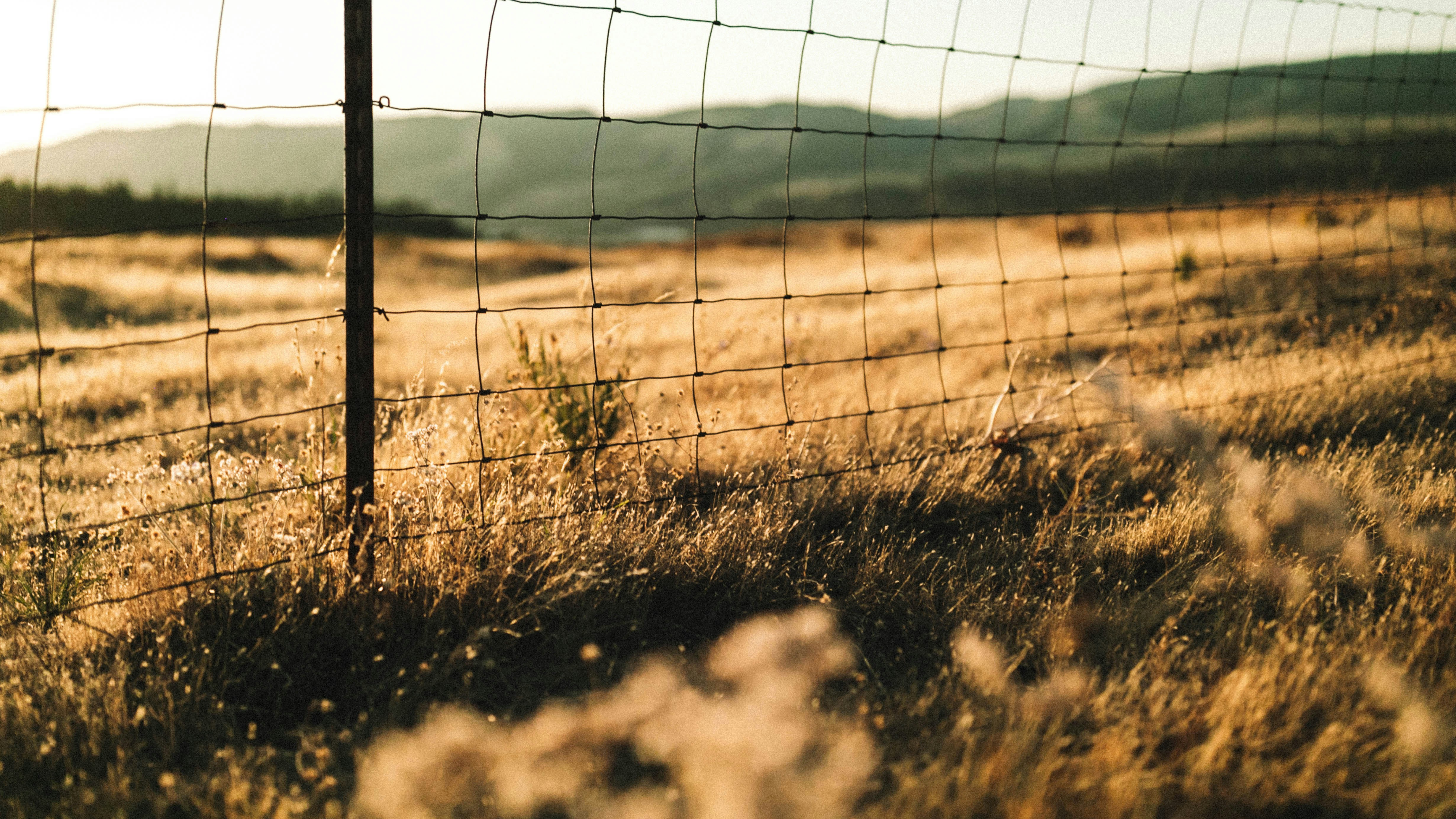 Photo by leemckenzieluis