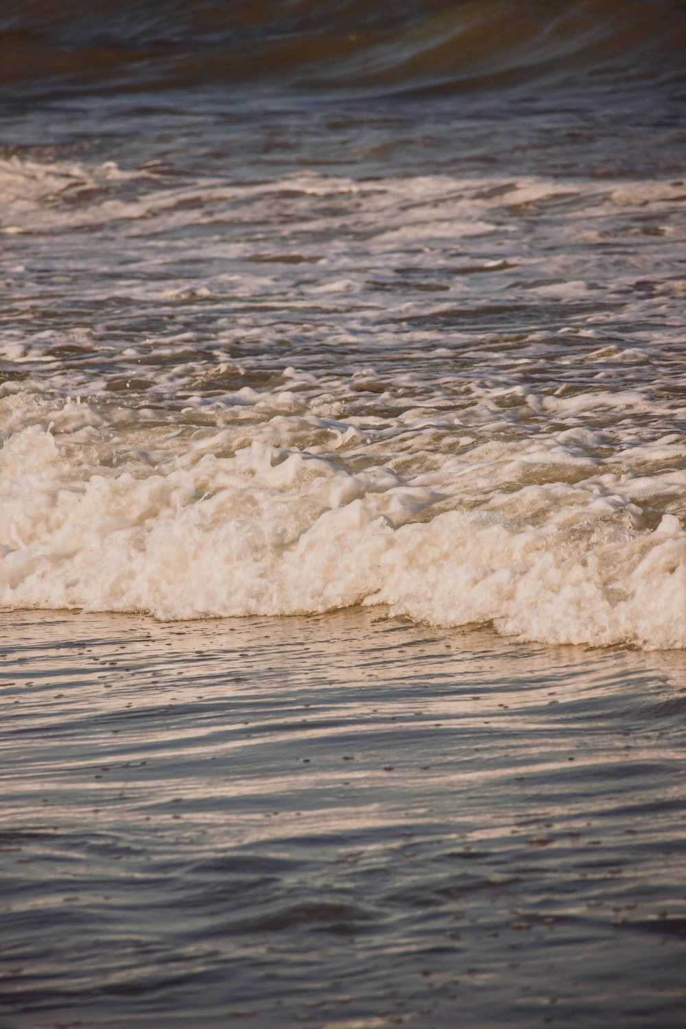 seashore during daytime in close-up photo