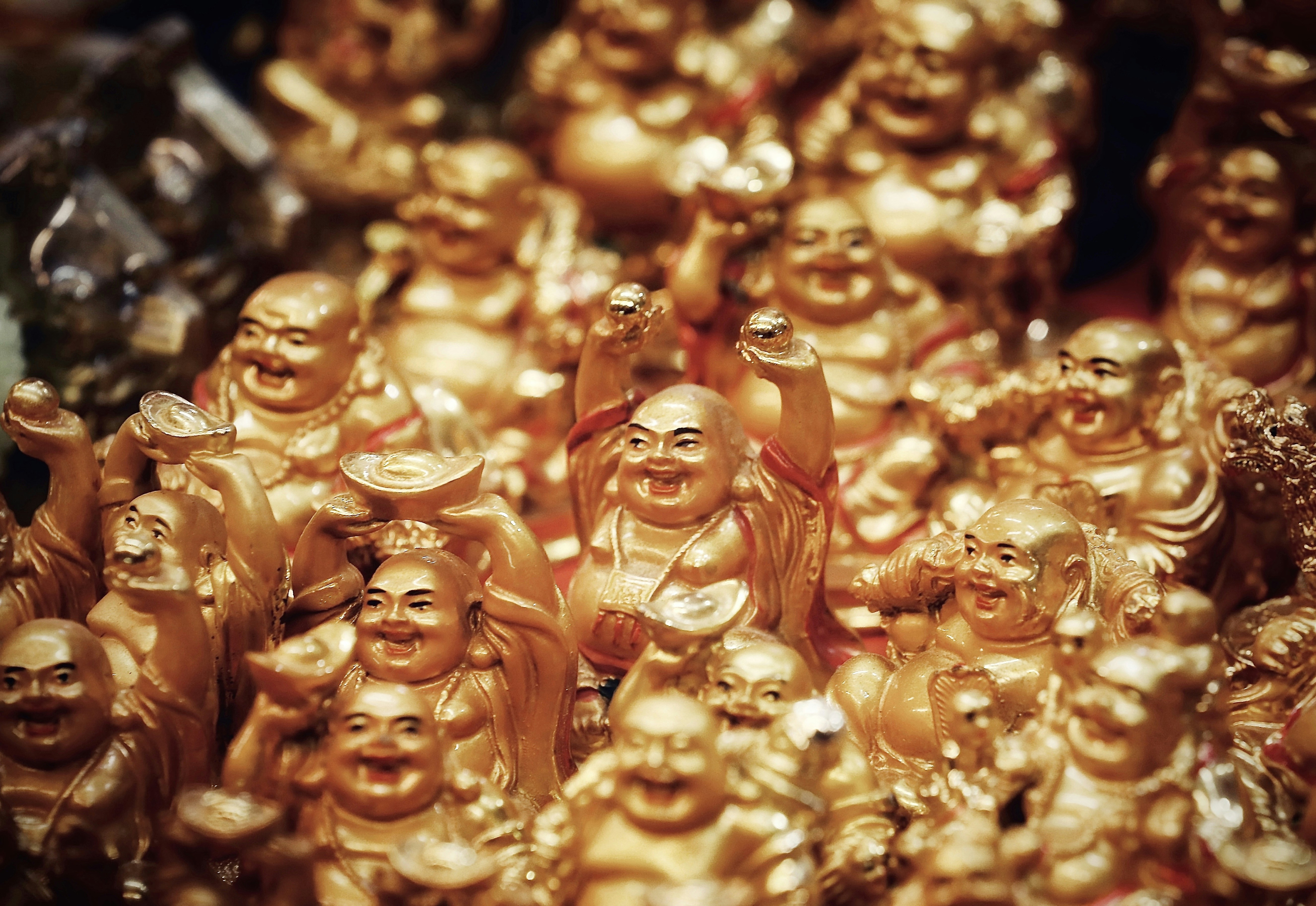 Photo by suryadeepak