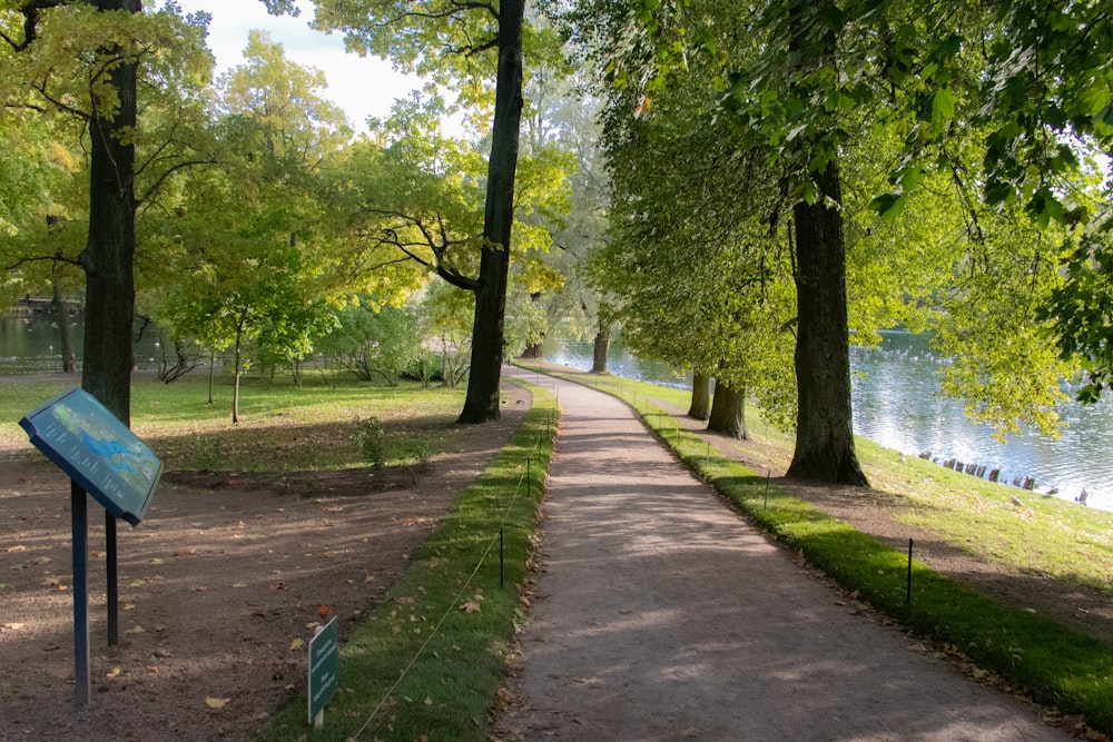 pathway surrounded with tall and green trees viewing body of water during daytime