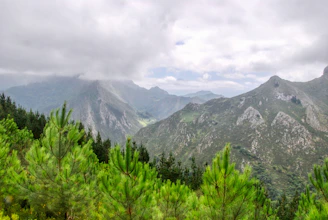 green trees beside mountain at daytime